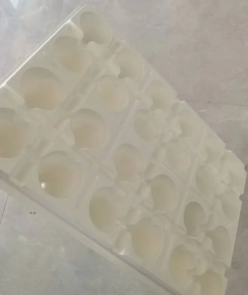Nursery Seeding Trays