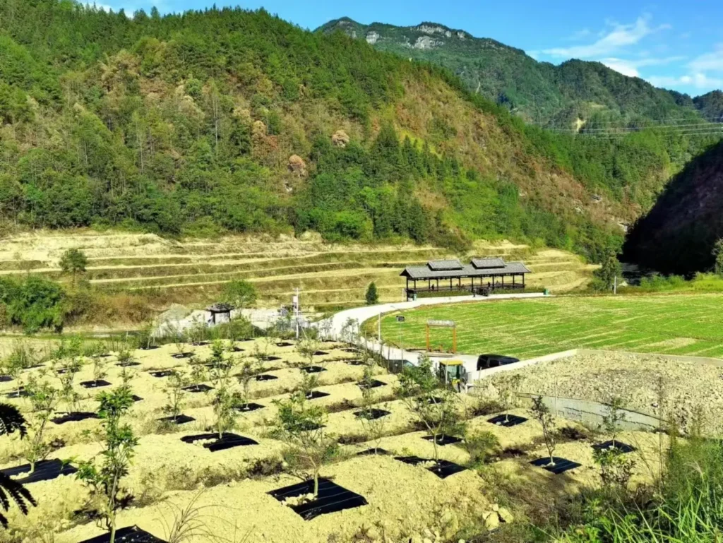 Pre-Cut Weed Control Fabric for Slopes & Terraced Planting